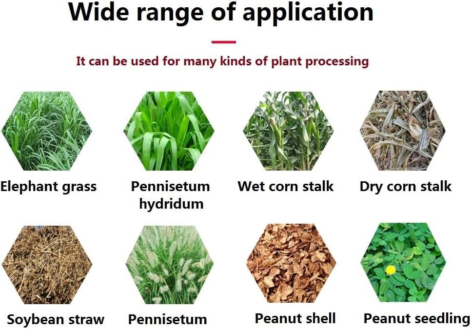 61ZK8z-G4qL._AC_SL1094_